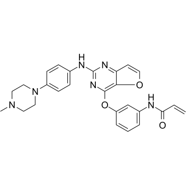 Poseltinib (HM71224, LY3337641)